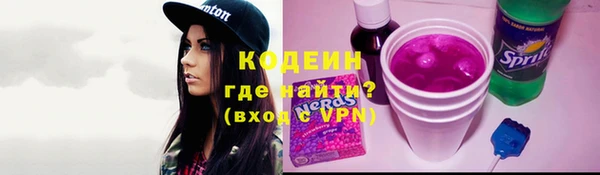 хмурый Арсеньев